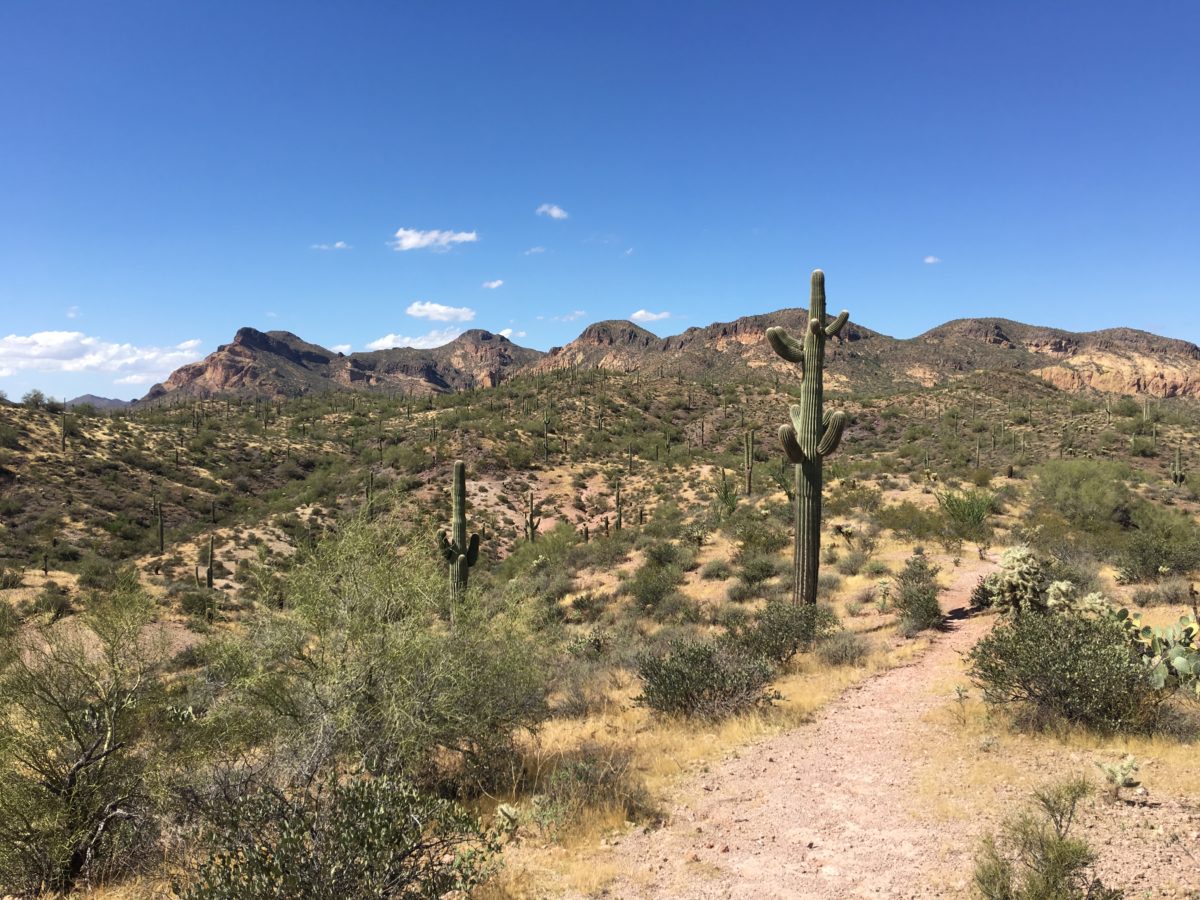 Tonto Mountain | Aravaipa Rides